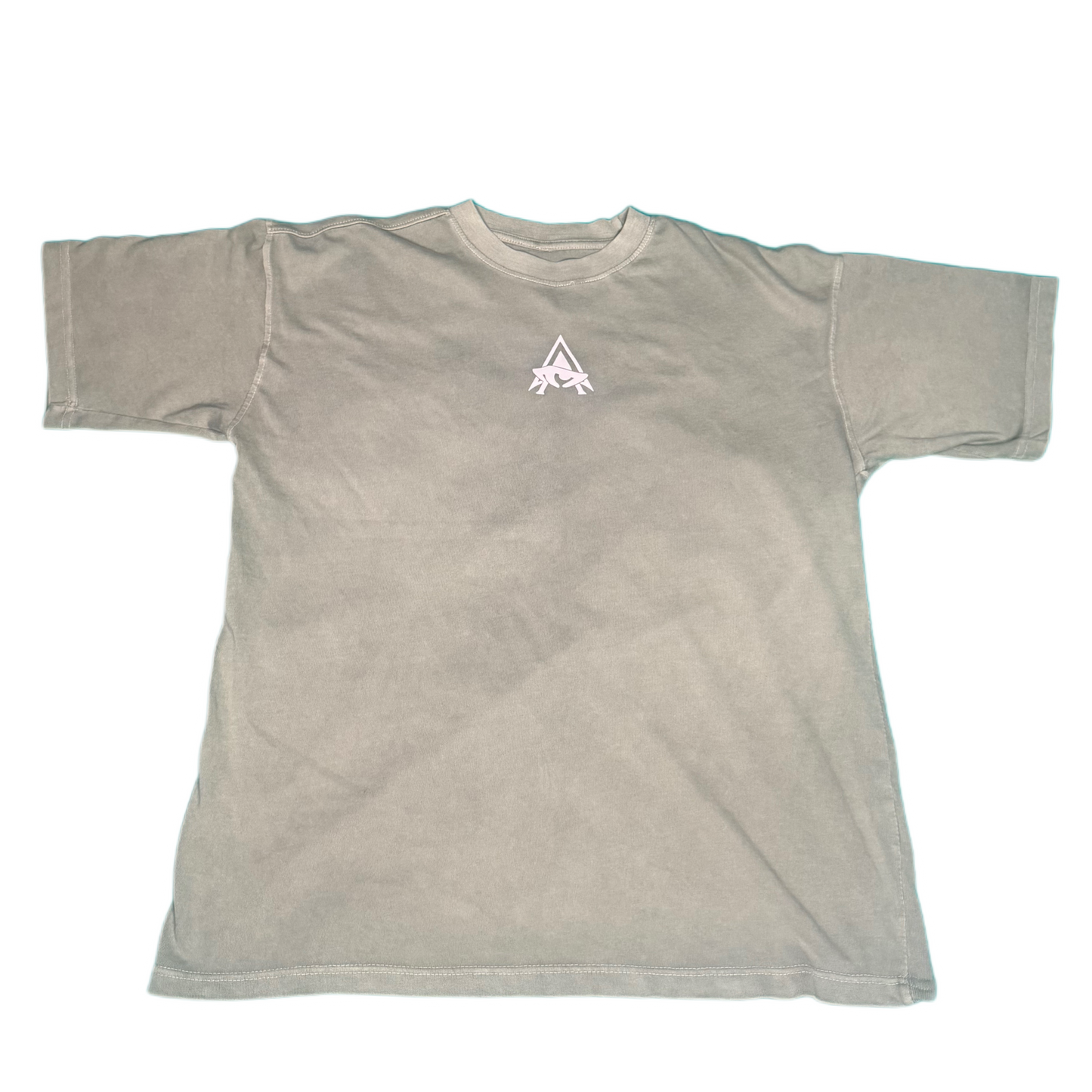 Alpha Core Oversized Tee